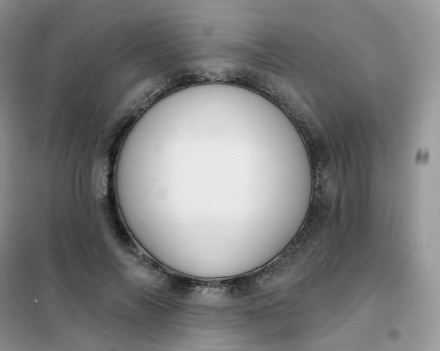 X0000102040694200808011511