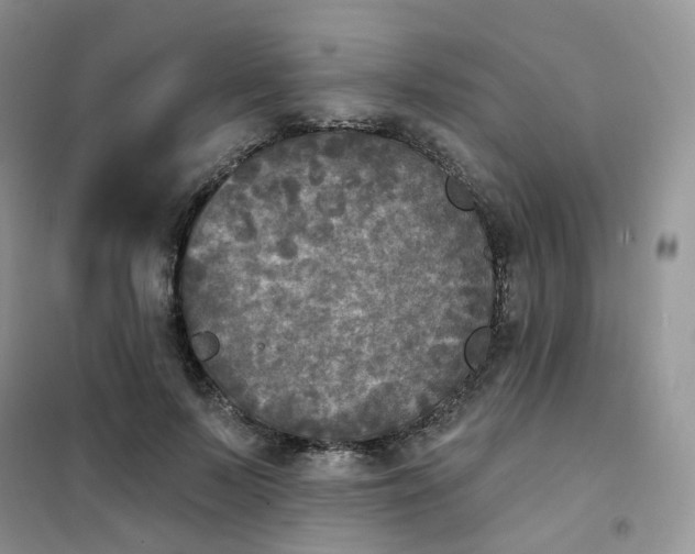 X0000102040695200808011511