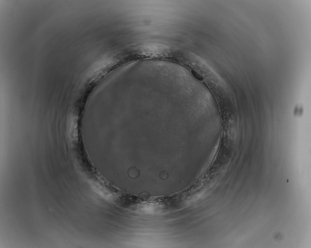 X0000102040696200808011511