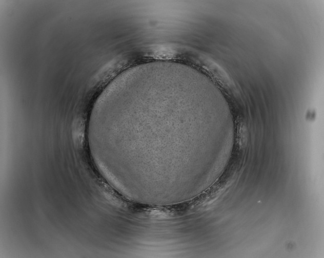 X0000102040697200808011510