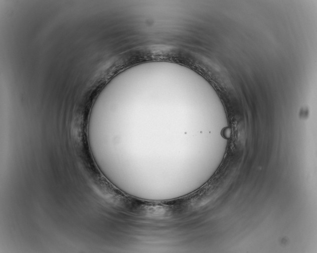 X0000102040698200808011510