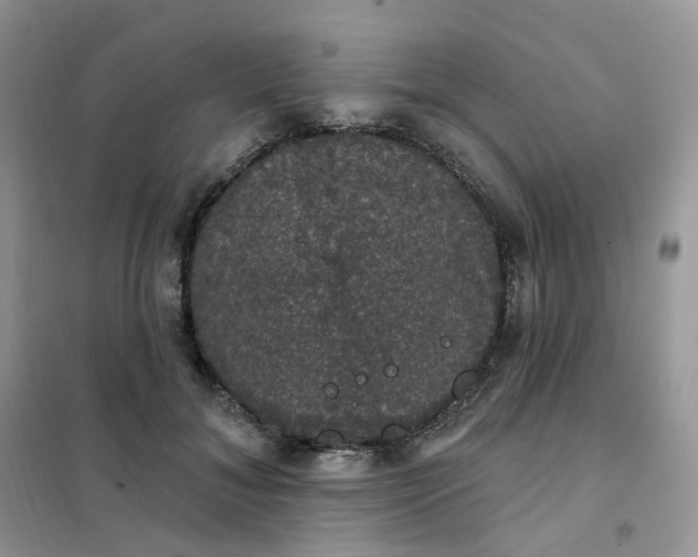 X0000102040700200808011510