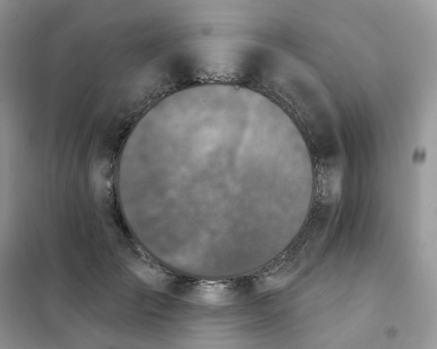 X0000102040701200808011510