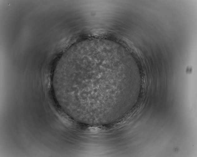 X0000102040703200808011510