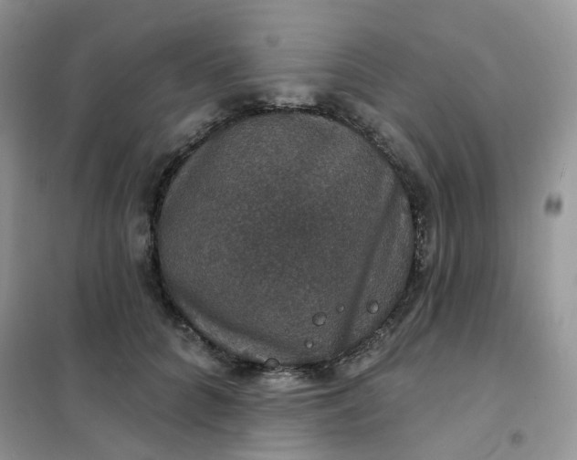 X0000102040704200808011510