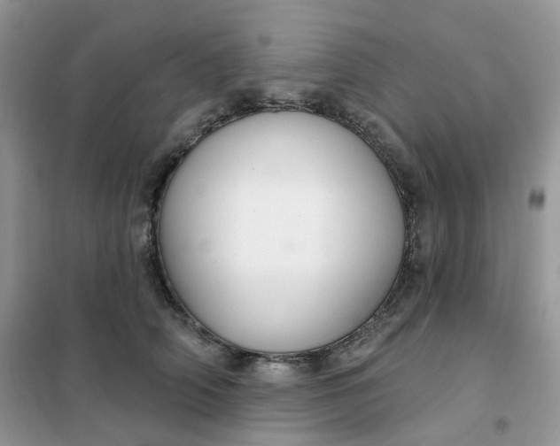 X0000102040706200808011510