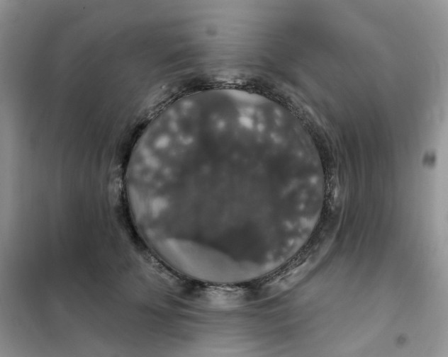 X0000102040707200808011510