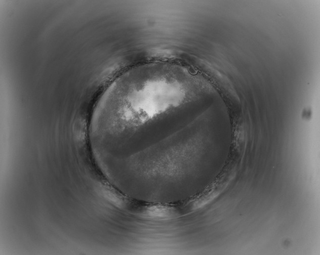 X0000102040708200808011510