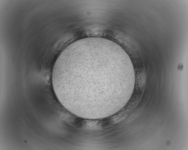 X0000102040709200808011510