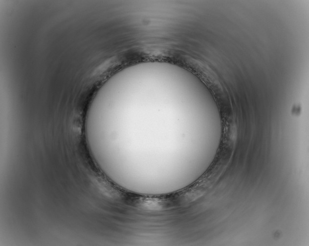 X0000102040710200808011510