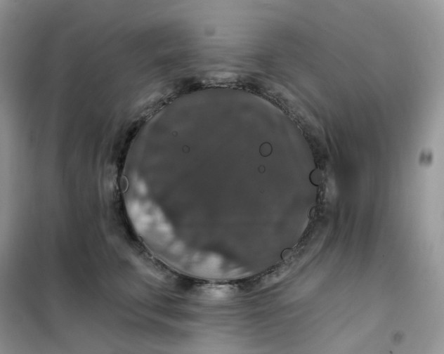 X0000102040711200808011510