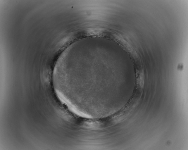 X0000102040712200808011510