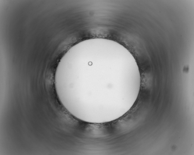 X0000102040713200808011510