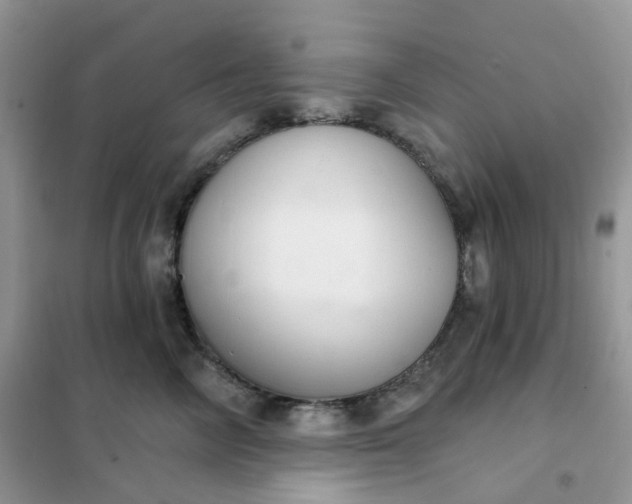 X0000102040714200808011510