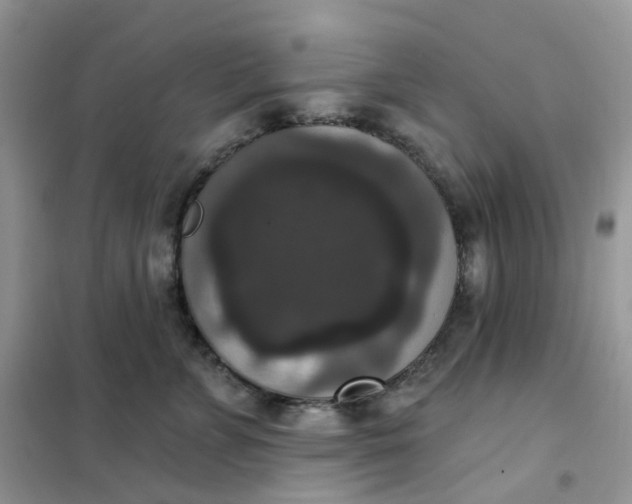 X0000102040715200808011510