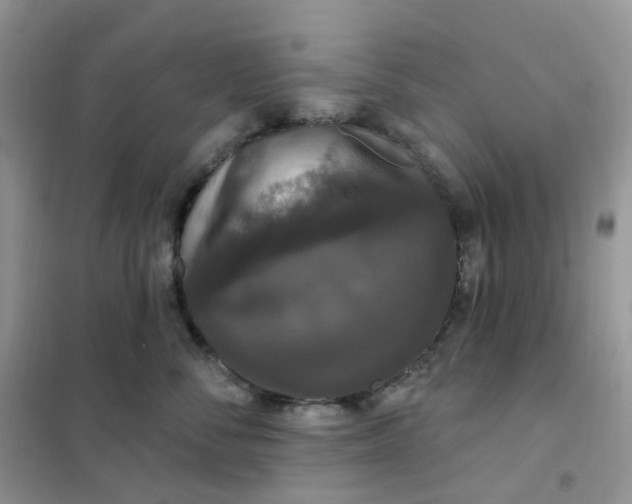 X0000102040716200808011510