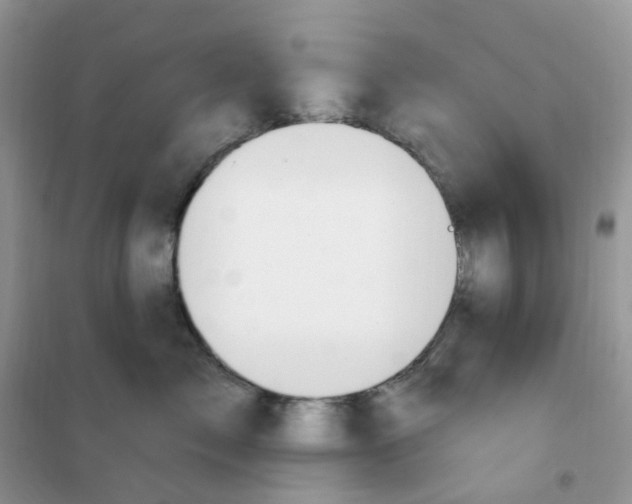 X0000102040717200808011510