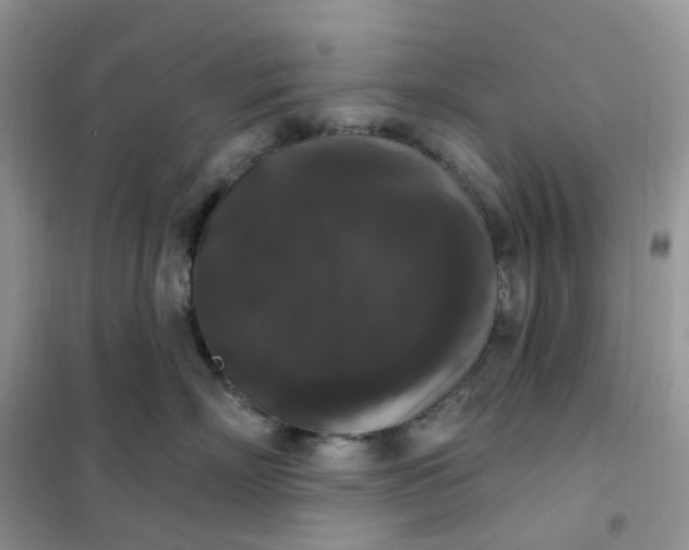 X0000102040718200808011510