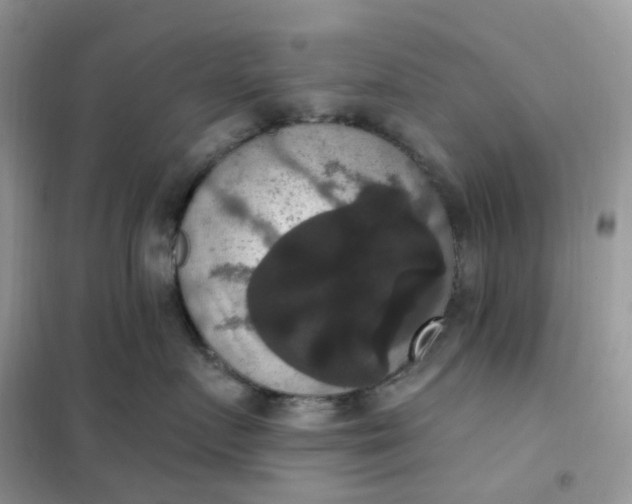 X0000102040719200808011510