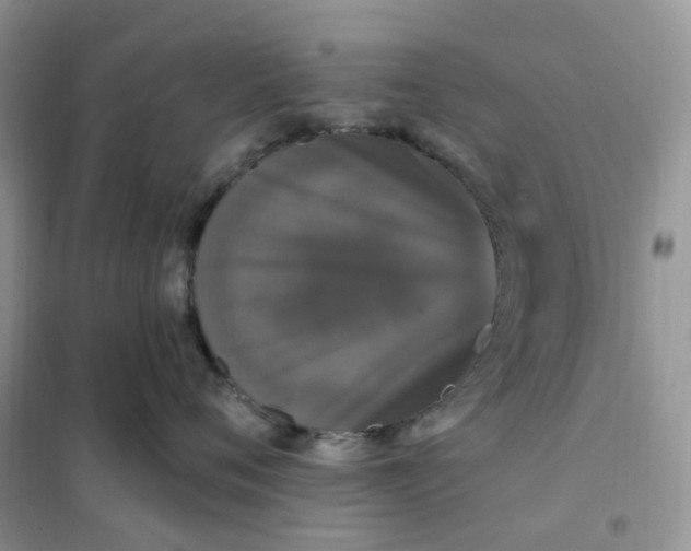 X0000102040720200808011510