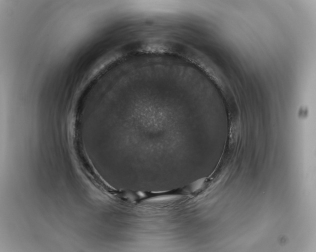 X0000102040722200808011509