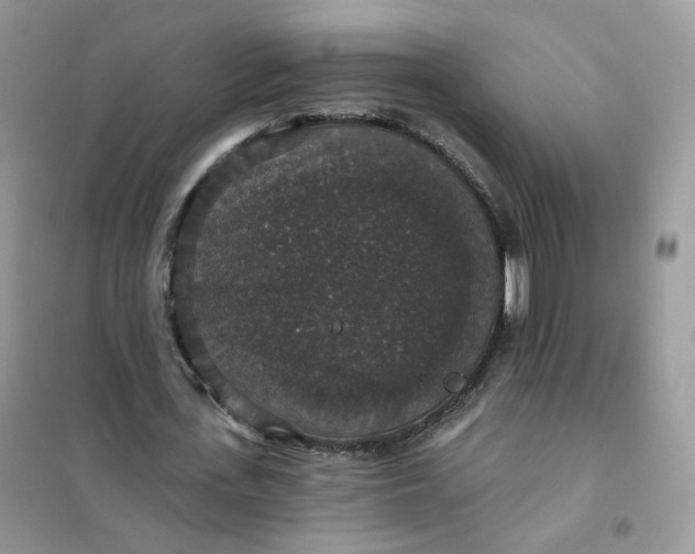 X0000102040723200808011509