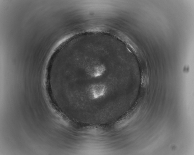 X0000102040724200808011509