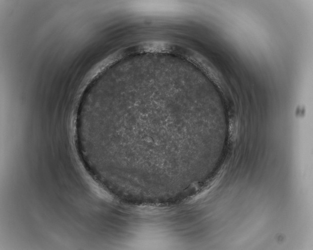 X0000102040725200808011509