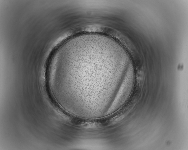 X0000102040727200808011509