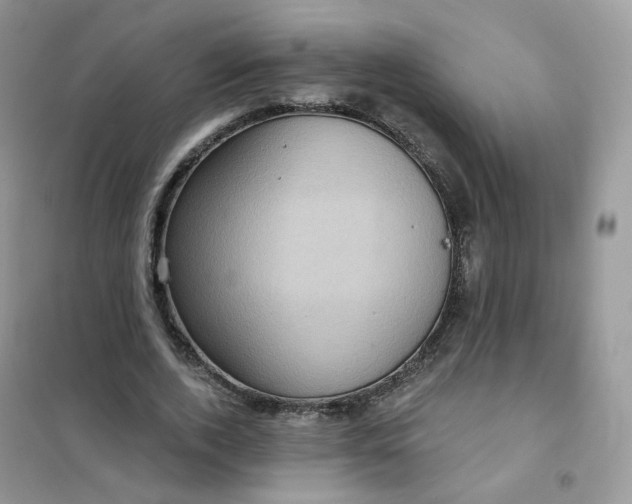 X0000102040728200808011509