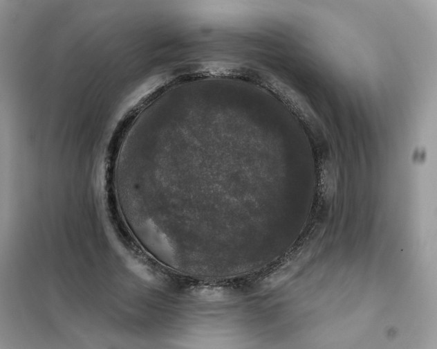 X0000102040730200808011509