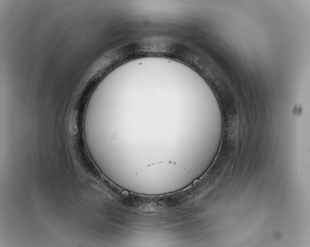 X0000102040731200808011509