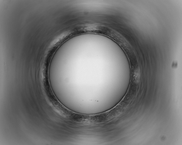 X0000102040732200808011509