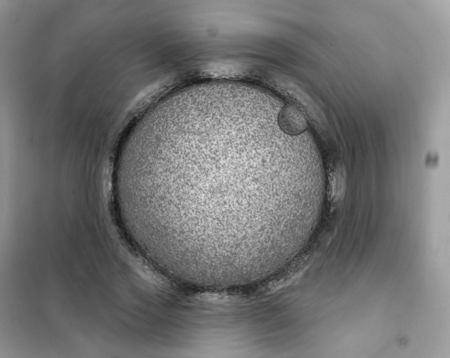 X0000102040733200808011509