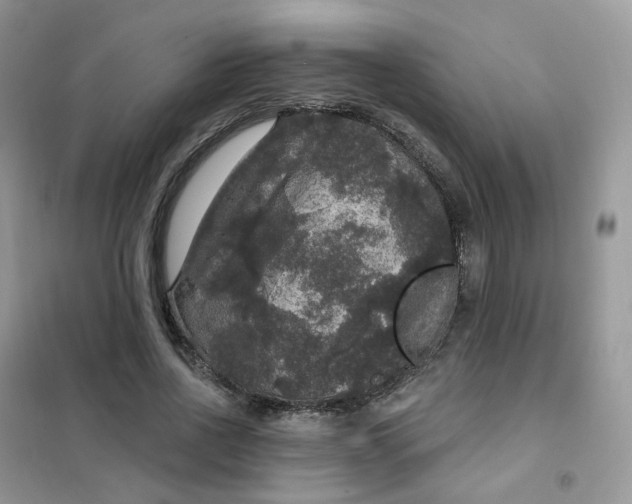 X0000102040734200808011509