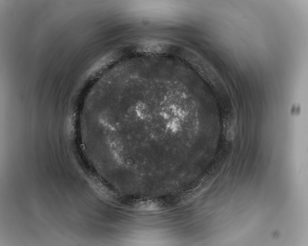 X0000102040735200808011509