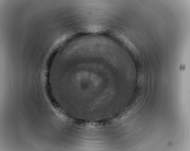 X0000102040736200808011509