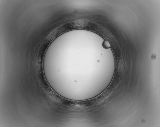 X0000102040737200808011510