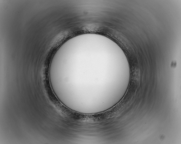 X0000102040738200808011510