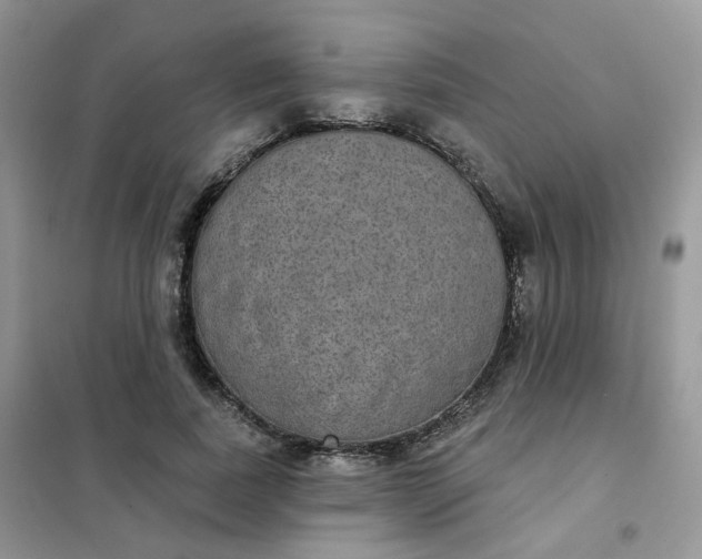 X0000102040739200808011510