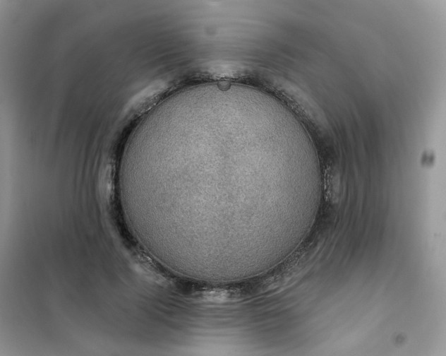 X0000102040740200808011510