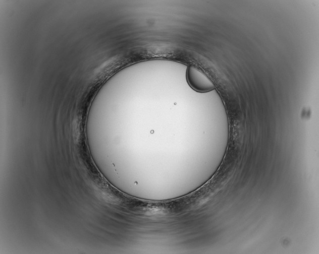 X0000102040741200808011510