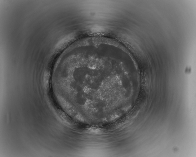 X0000102040742200808011510