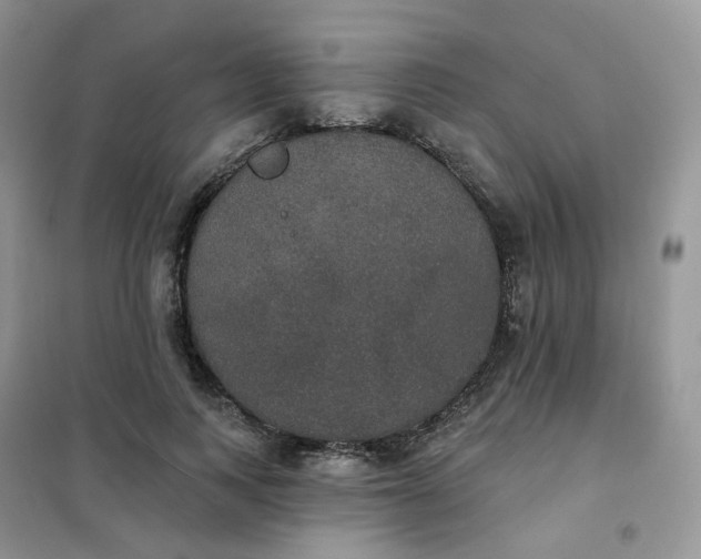 X0000102040743200808011510