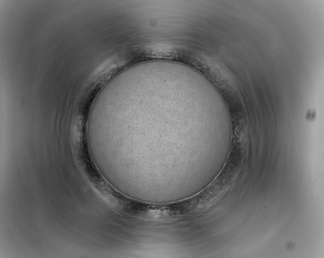 X0000102040744200808011510