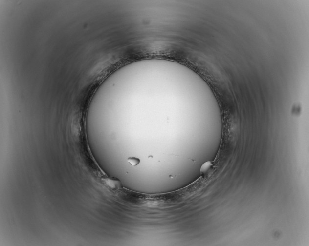 X0000102040746200808011510