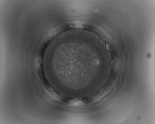 X0000102040747200808011510