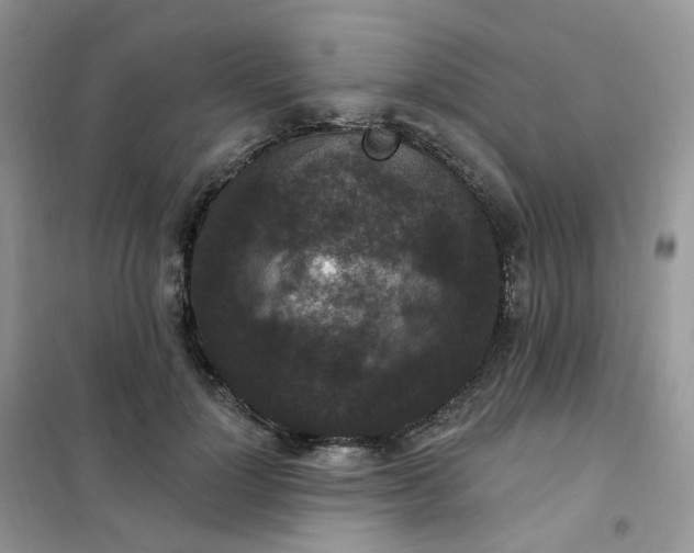 X0000102040748200808011510