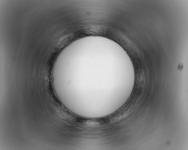 X0000102040749200808011510