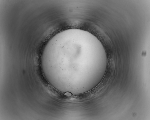 X0000102040750200808011510